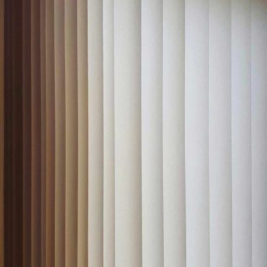 aurora-fox-yo_VxFh0RsI-unsplash