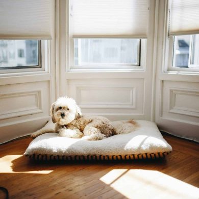 matthew-hamilton-s1YHaZhC--Y-unsplash