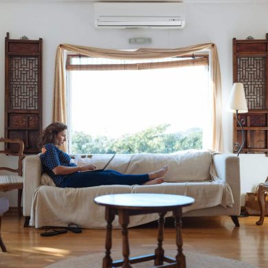 pexels-hillaryfox-1595589