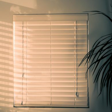 photo of window blinds near plant